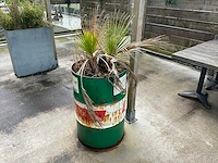 Plantenbak