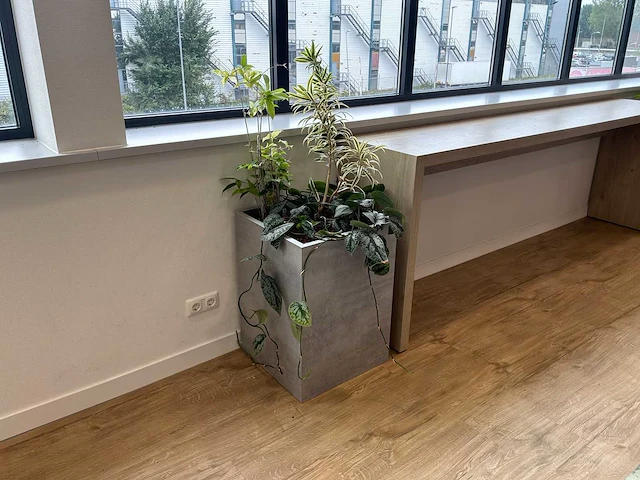 Plantenbak - afbeelding 1 van  4