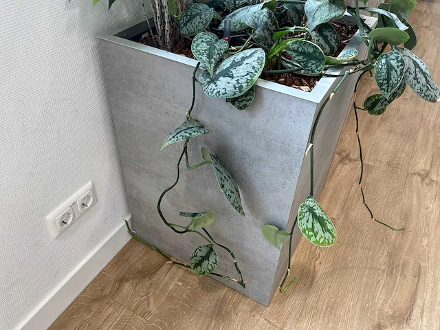 Plantenbak - afbeelding 3 van  4