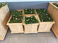 Plantenbak - afbeelding 4 van  5