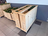 Plantenbak - afbeelding 5 van  5