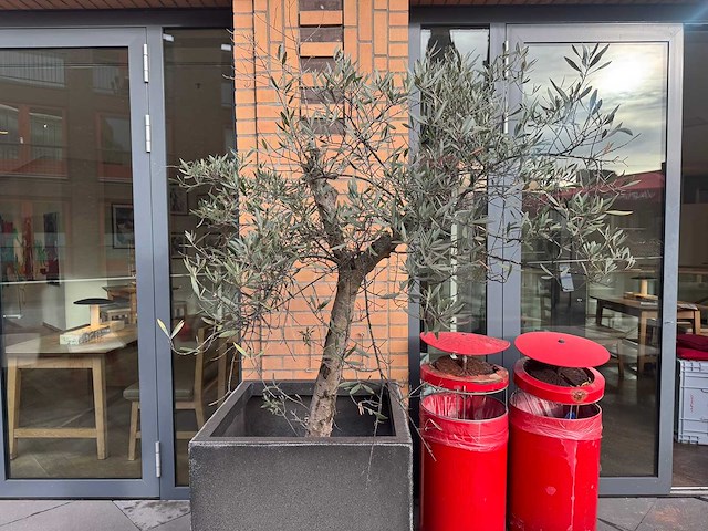 Plantenbak - afbeelding 3 van  4