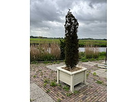 Plantenbakken (5x) - afbeelding 4 van  8