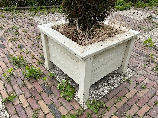 Plantenbakken (5x) - afbeelding 5 van  8