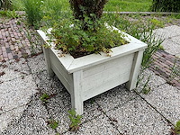 Plantenbakken (5x) - afbeelding 8 van  8
