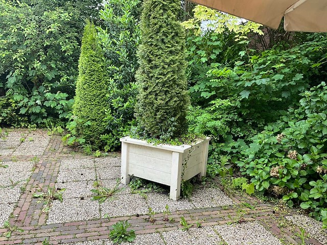 Plantenbakken (6x) - afbeelding 1 van  8