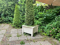 Plantenbakken (6x) - afbeelding 1 van  8
