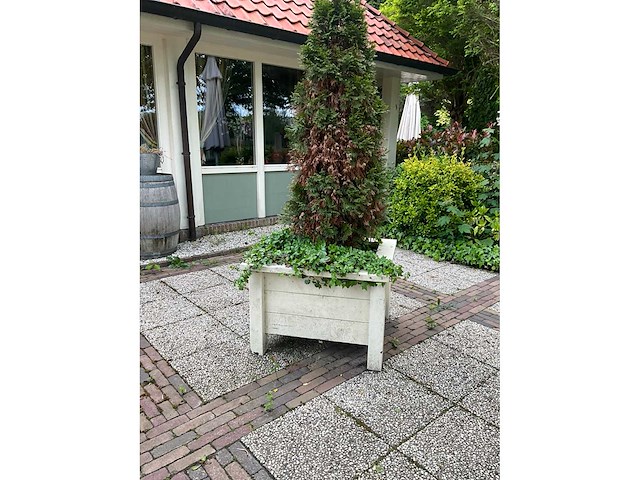Plantenbakken (6x) - afbeelding 4 van  8