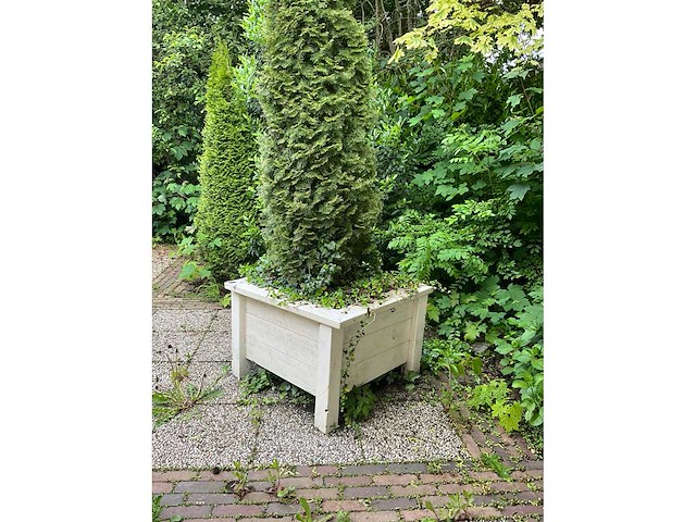 Plantenbakken (6x) - afbeelding 11 van  11