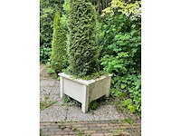 Plantenbakken (6x) - afbeelding 11 van  11