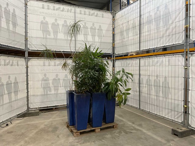 Plantenbakken met kamerplanten (6x) - afbeelding 2 van  8