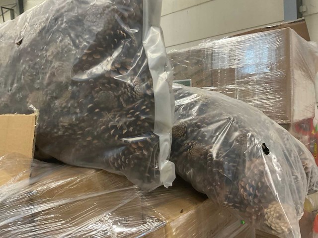 Plantenbakken - afbeelding 5 van  7