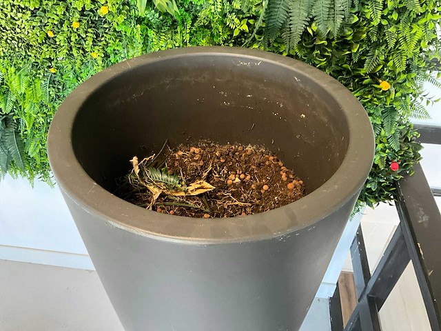 Plantenpot en kunst vegetatiewand - afbeelding 3 van  5