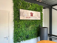 Plantenpot en kunst vegetatiewand - afbeelding 4 van  5