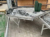 Plantentafel (4x) - afbeelding 3 van  5