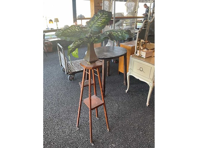Plantentafel - afbeelding 4 van  6