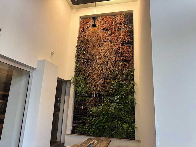 Plantenwand met zelfwerkend watersysteem. - afbeelding 2 van  10