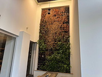 Plantenwand met zelfwerkend watersysteem. - afbeelding 2 van  10