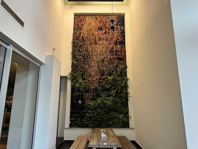 Plantenwand met zelfwerkend watersysteem. - afbeelding 1 van  10