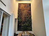 Plantenwand met zelfwerkend watersysteem. - afbeelding 1 van  10