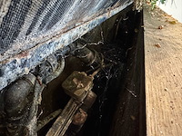 Plantenwand met zelfwerkend watersysteem. - afbeelding 8 van  10