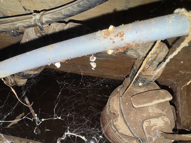 Plantenwand met zelfwerkend watersysteem. - afbeelding 10 van  10