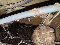 Plantenwand met zelfwerkend watersysteem. - afbeelding 10 van  10