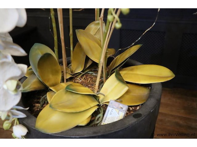 Plantenzuil incl. bloempot met kunstplant - afbeelding 3 van  6