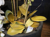 Plantenzuil incl. bloempot met kunstplant - afbeelding 3 van  6