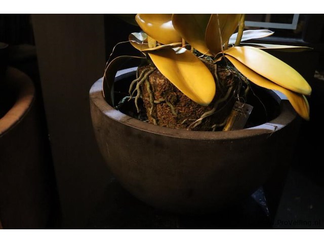 Plantenzuil incl. bloempot met kunstplant - afbeelding 5 van  7