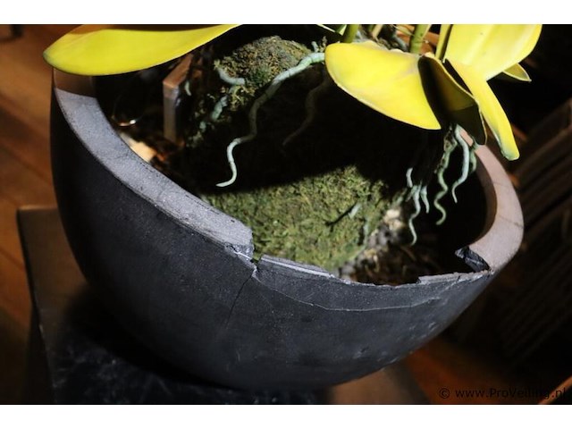 Plantenzuil incl. bloempot met kunstplant - afbeelding 7 van  7