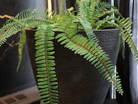 Plantenzuilen - 3 stuks, incl. 2 bloempotten met kunstplanten - afbeelding 5 van  6