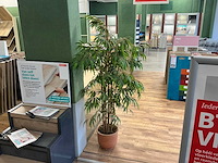 Plastic plant in pot (2x) - afbeelding 2 van  4