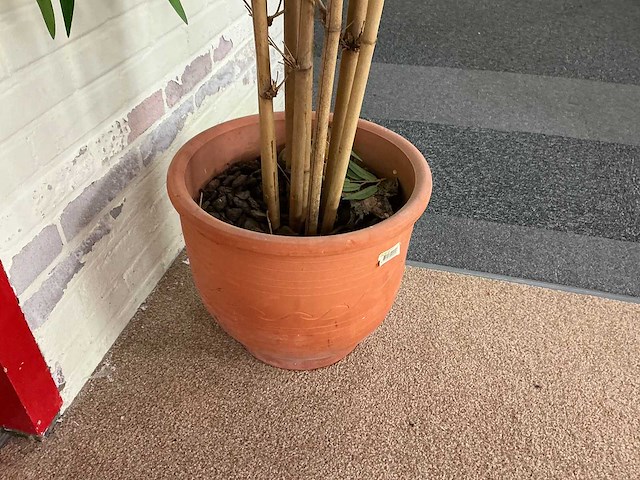 Plastic plant in pot (2x) - afbeelding 4 van  4