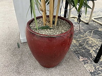 Plastic plant in pot (2x) - afbeelding 3 van  4