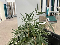 Plastic plant in pot (2x) - afbeelding 4 van  4