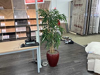 Plastic plant met pot (3x)