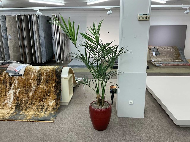 Plastic plant met pot (3x) - afbeelding 2 van  5