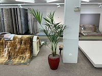 Plastic plant met pot (3x) - afbeelding 2 van  5