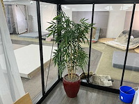 Plastic plant met pot (3x) - afbeelding 3 van  5