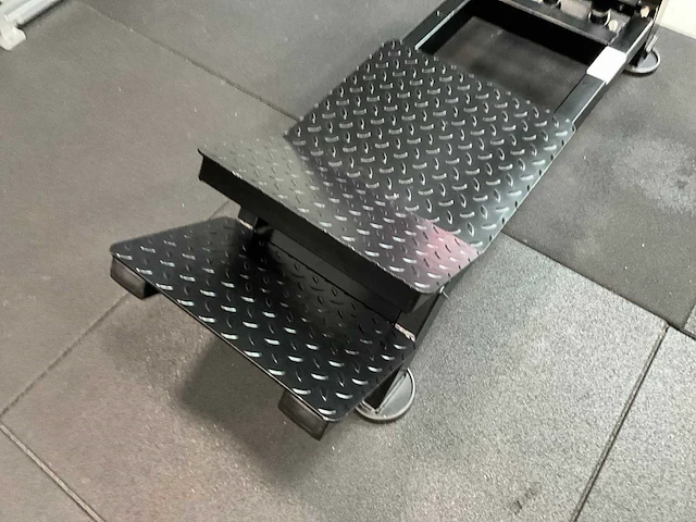 Plate loaded linear t-bar row - afbeelding 7 van  7