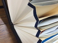 Platenbox deels gevuld - afbeelding 3 van  3