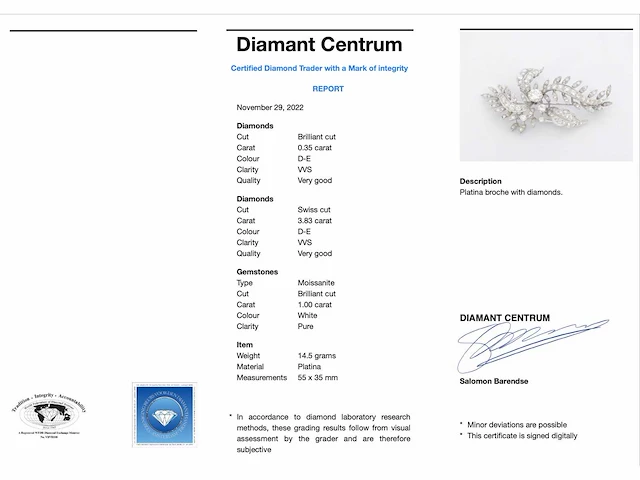 Platina broche diamant - afbeelding 3 van  7