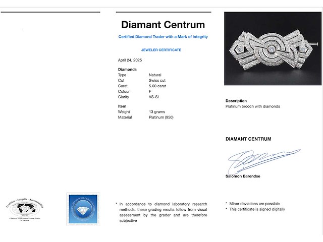 Platina broche met diamanten - afbeelding 3 van  5