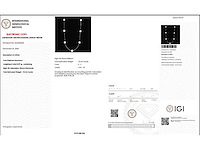 Platina halsketting met 10,34 ct. diamant - afbeelding 3 van  10