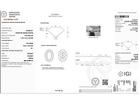 Platina ring met 3,06 ct. diamant - afbeelding 2 van  6