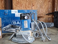 Pleisterfrees baier, bff222 - afbeelding 2 van  6