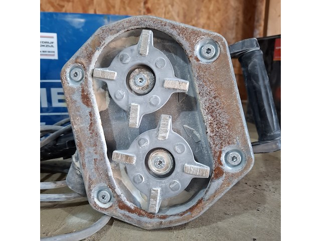 Pleisterfrees baier, bff222 - afbeelding 5 van  6