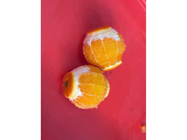 Pnd - 2018 - pl4av - schilmachine - afbeelding 2 van  11