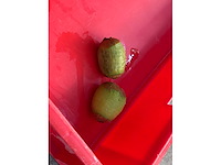 Pnd - 2018 - pl4av - schilmachine - afbeelding 11 van  11